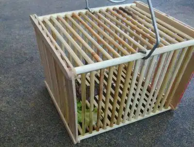 蝈蝈笼子制作|雪糕棍diy蝈蝈笼|蝈蝈笼子编织法图解