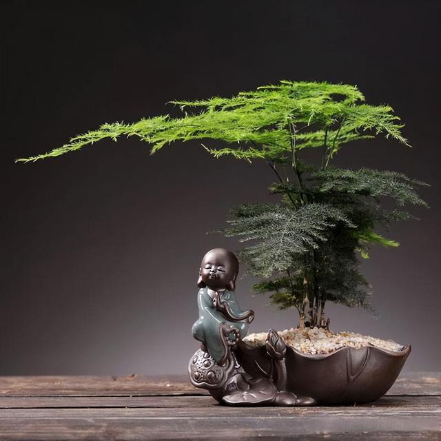 这"三竹子"特吉祥,有富贵招财"寓意好",日子越来越红火