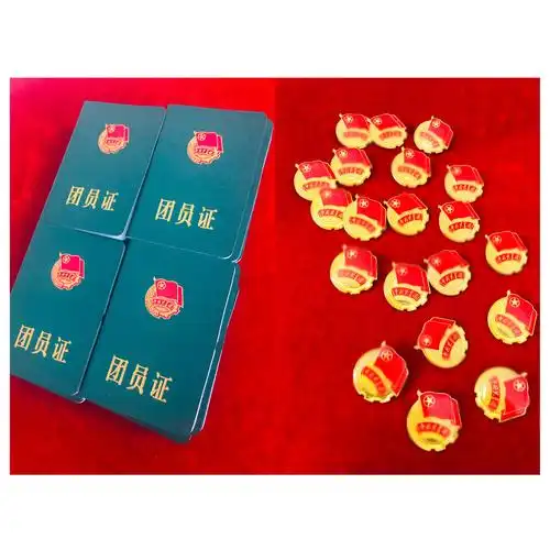 学校领导为新团员佩戴团徽,颁发团员证