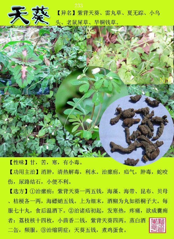 太全了赶紧转走夜里偷着看