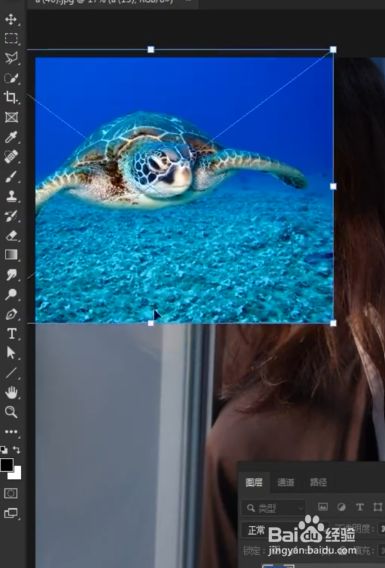 ps怎样使两张照片简单合成?