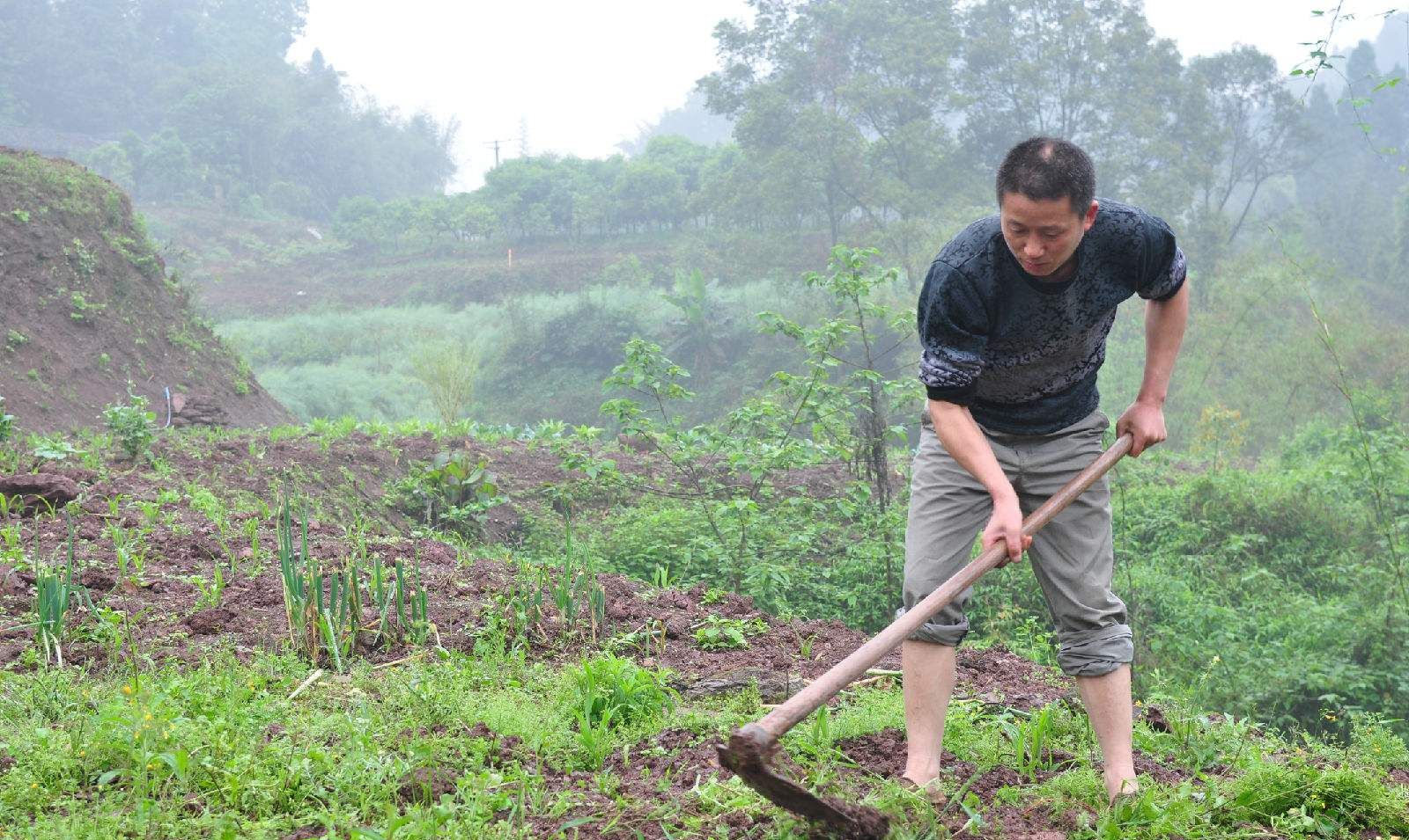 以前农村年轻人都喜欢外出打工,如今都往家里跑,为啥?