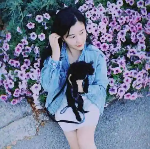 杨子的女儿巨力集团杨家三兄弟