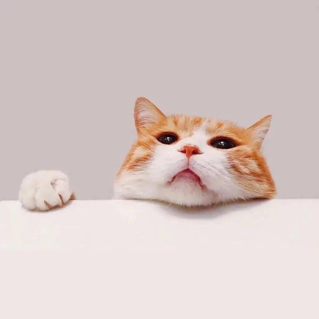 朋友圈个性背景封面图