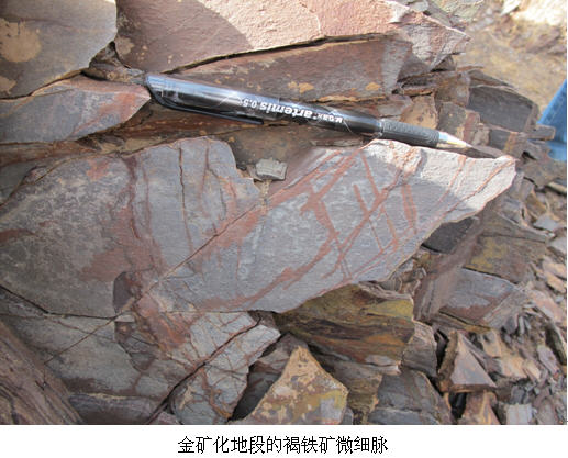 北山地调项目发现微细浸染型金矿