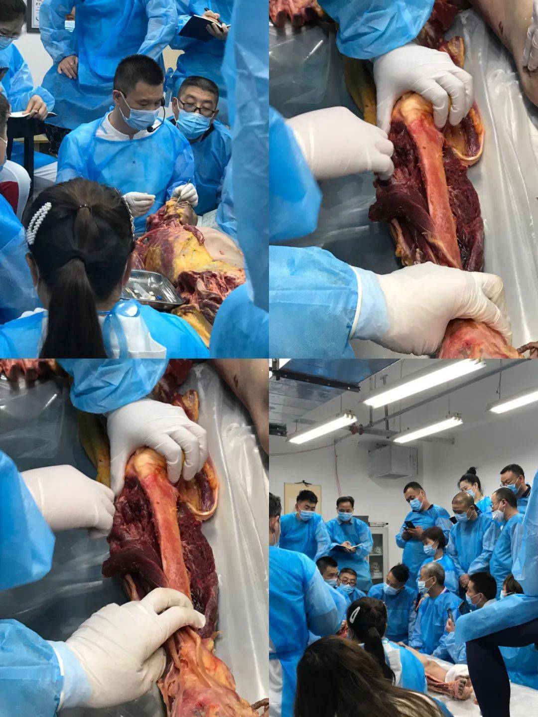 (郑州-10月28日)第十四期新鲜实体精细解剖临床高研班报名开启_课程