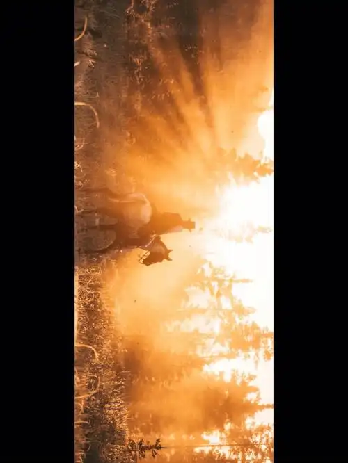 横屏观看我好像做了一个很长的西部梦