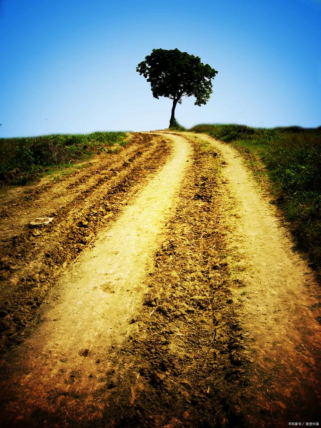 来欣赏林志洪原创诗歌作品《人生路》写给未来的一封信