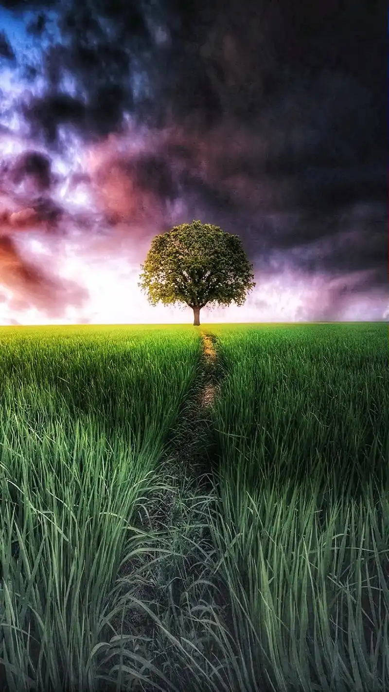 只有承担起旅途风雨 才能守得住彩虹满天#壁纸 #唯美意境  - 抖音