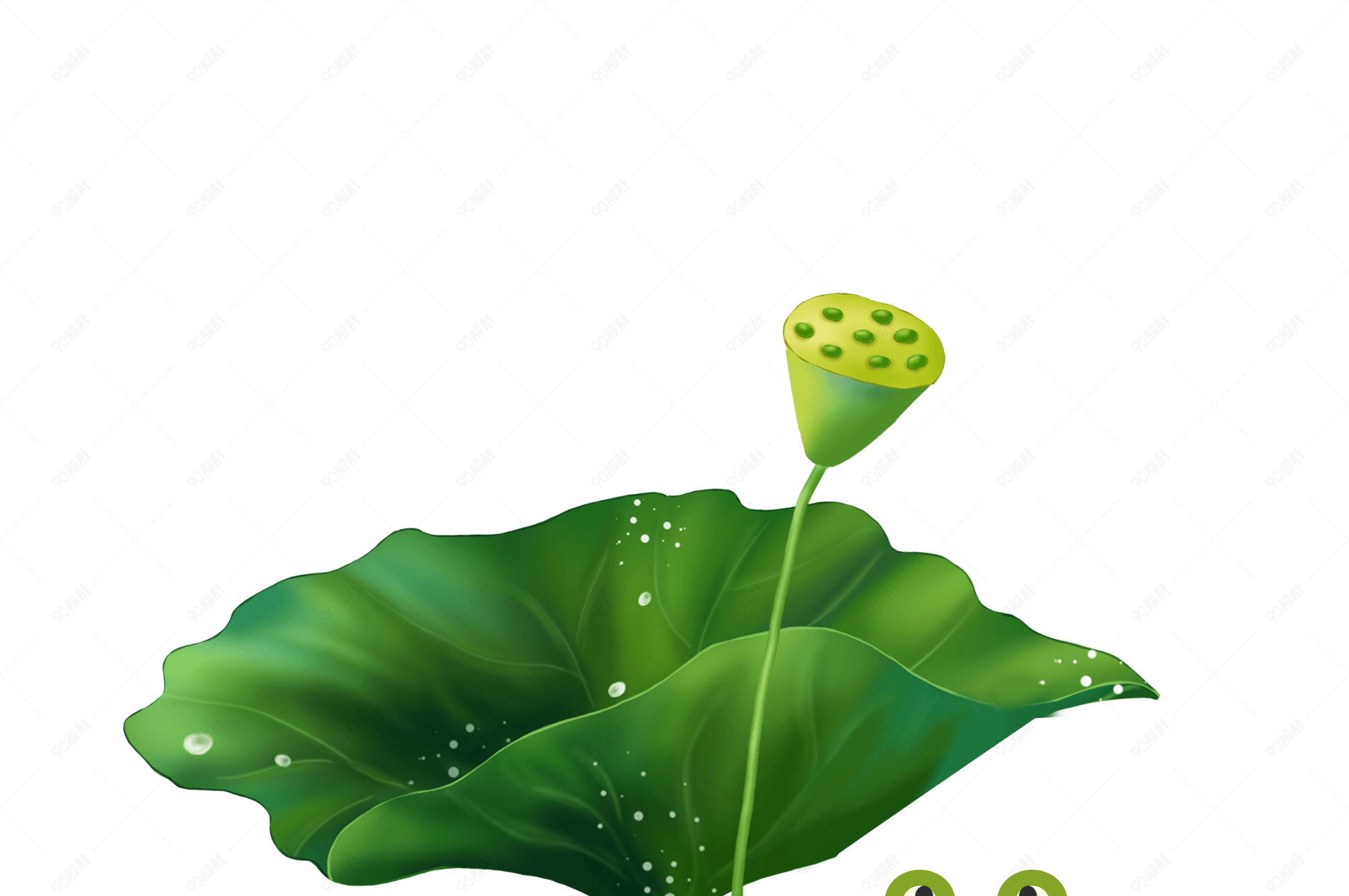 卡通初夏手绘绿色青蛙