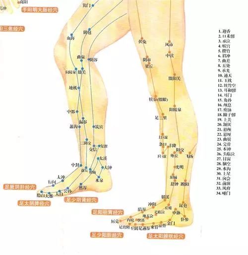 双腿反应全身病腿上这些疾病信号99人读不懂