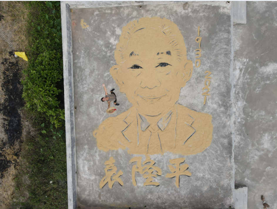 看到今年丰收了我也很感慨,就想到试着用这些稻谷来画袁隆平的画像