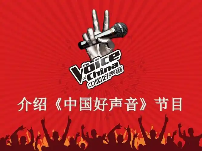 介绍《中国好声音》节目ppt精选文档