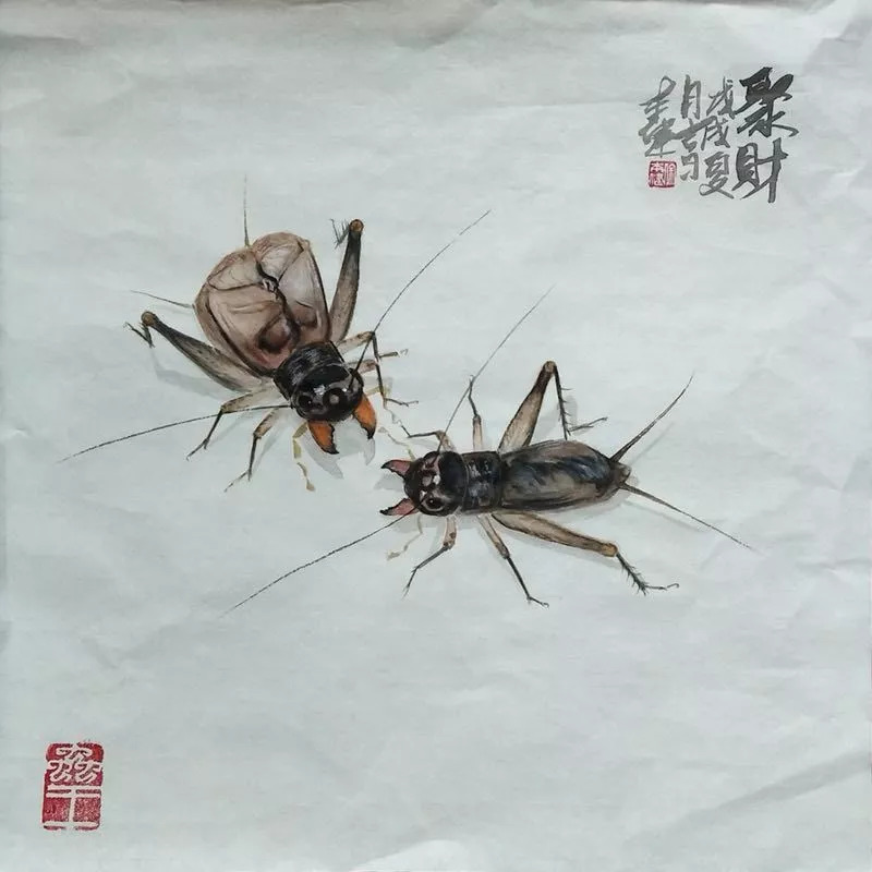 【展览进行时】秋声——徐本健蟋蟀画,唐裕龙旧藏蟋蟀盆展