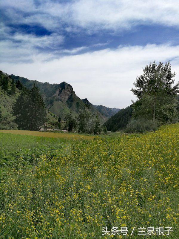 兰州竹林沟您知道吗是个自然保护区
