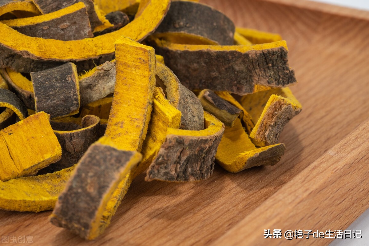 69黄柏皮药用价值很高