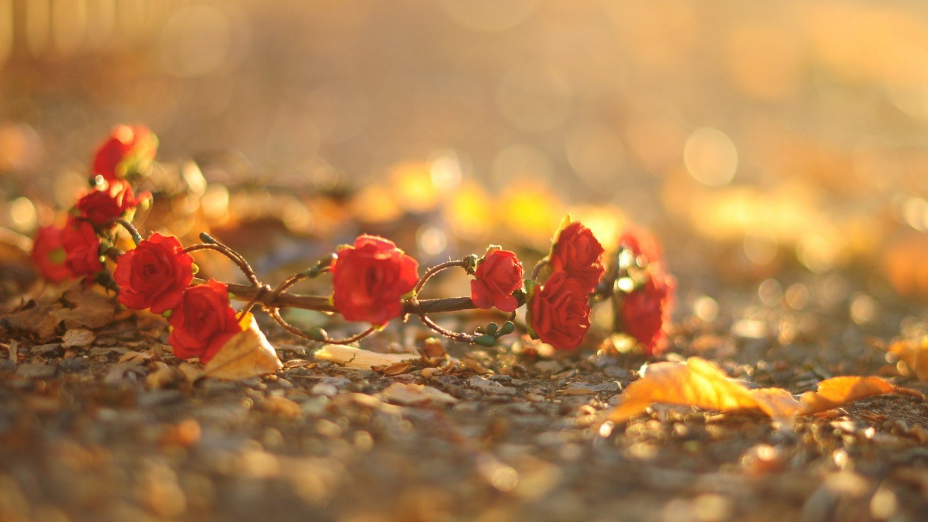 小清新唯美意境高清桌面壁纸第八辑