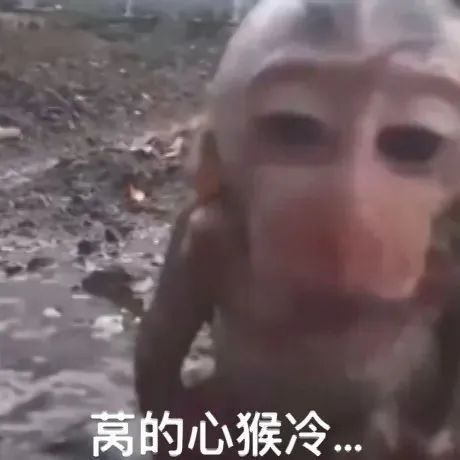 猴子吗喽表情包 | 想o尿