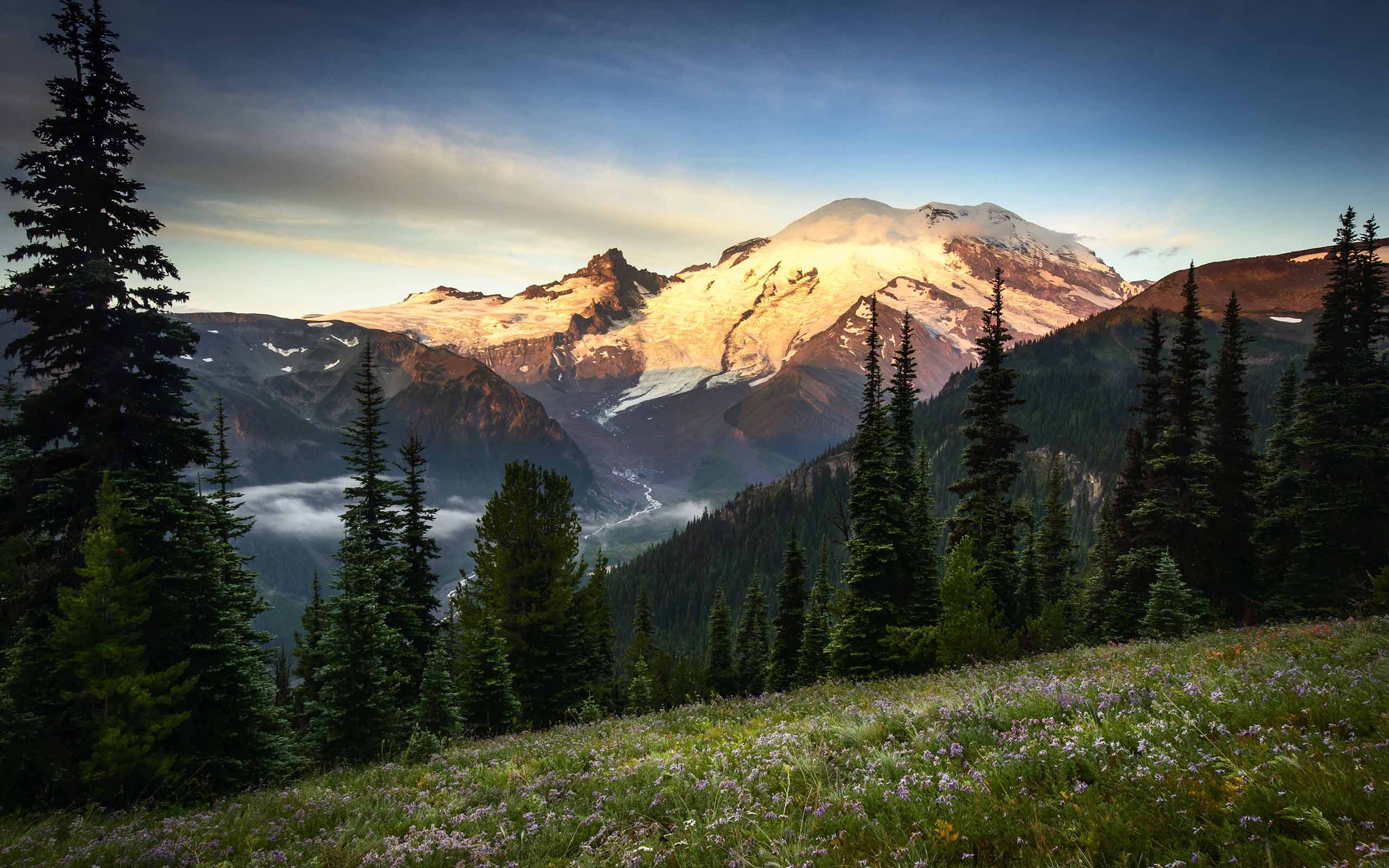 山景观树草高清壁纸,高清图片,壁纸,自然风景-桌面城市