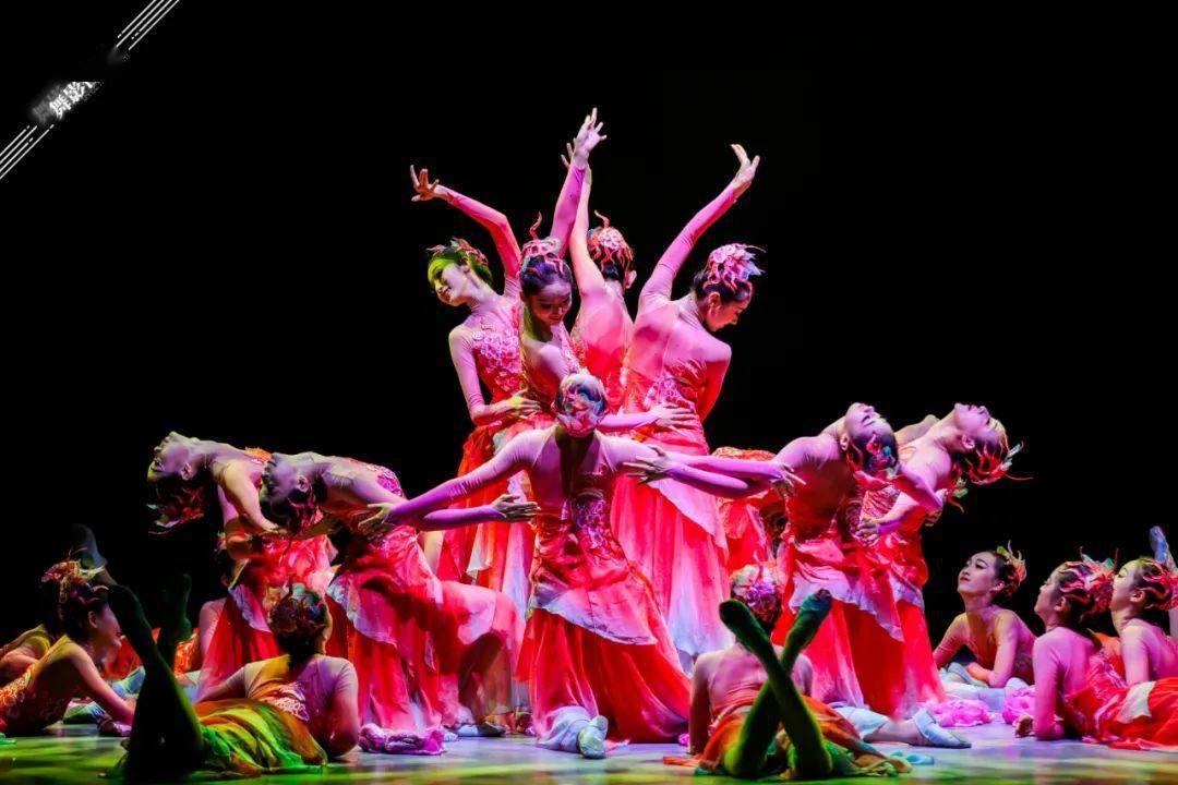 精彩回顾丨cefa第二届"芳华杯"艺术职业教育舞蹈教学成果展演-群舞