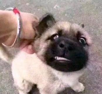 坦白说了吧,我想干这份工作5.为什么他一哭我就想笑?4.十大狠人~3.