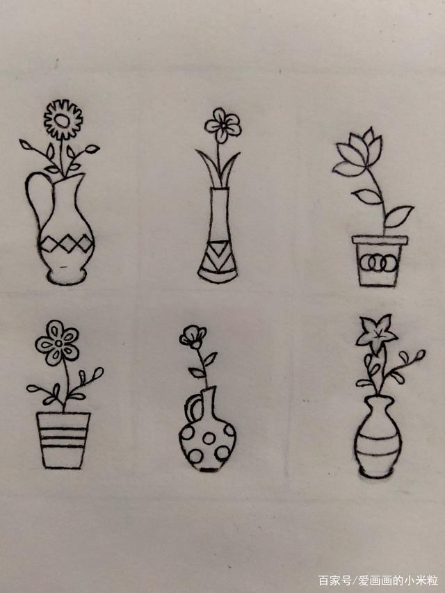 简笔画 好看又简单的瓶景植物
