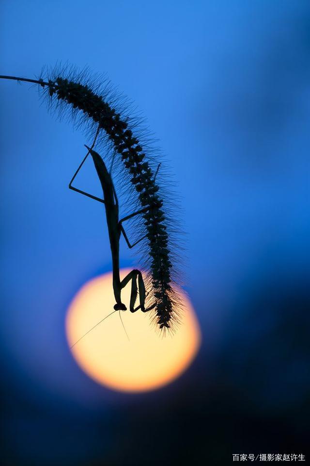 养成良好的拍摄习惯是成功拍摄出优秀摄影作品的前提