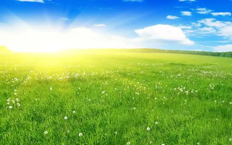 【豆豆一班】阳光明媚——第十五周