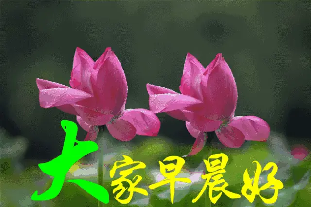 早上好动态祝福图片表情朋友圈早上好问候经典语句