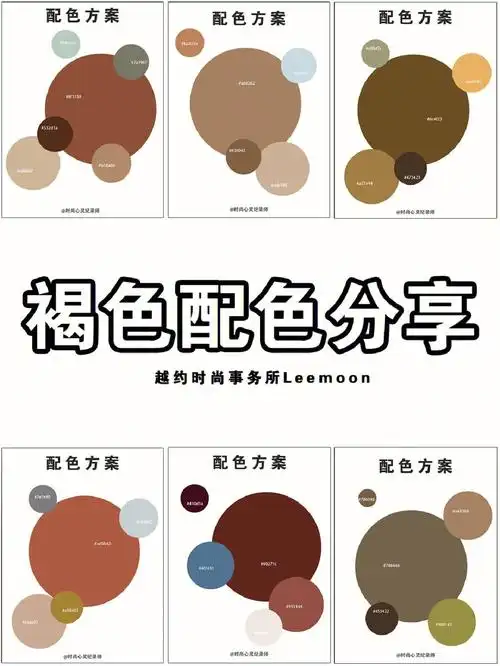 褐色 #色彩搭配  #配色方案  #高级  #灵感配色  #深圳 #色卡分享