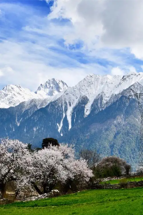 雪域高原之春(己亥年二月西藏林芝行记)