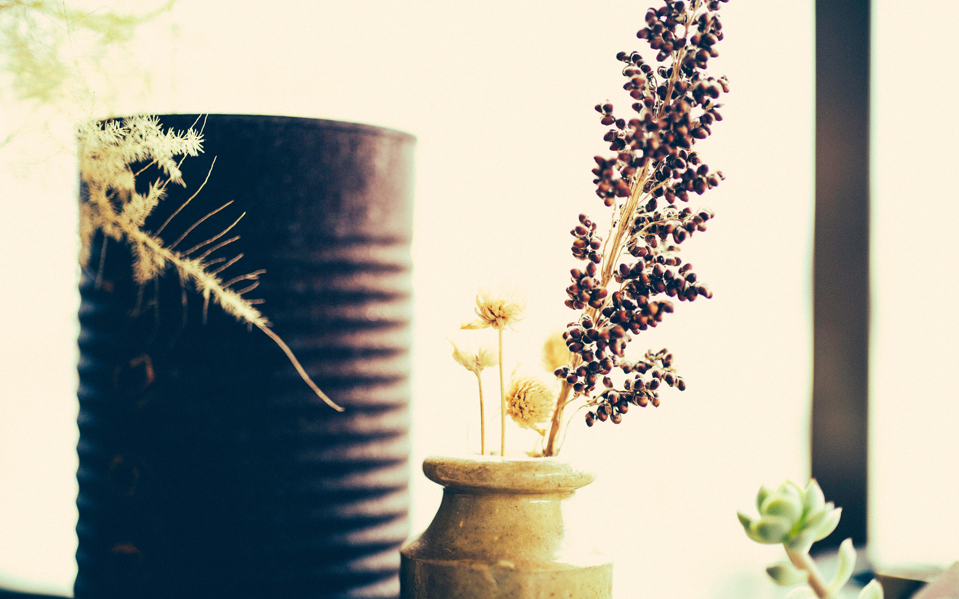 极简小清新素雅花朵花瓶盆栽唯美意境桌面壁纸第三辑