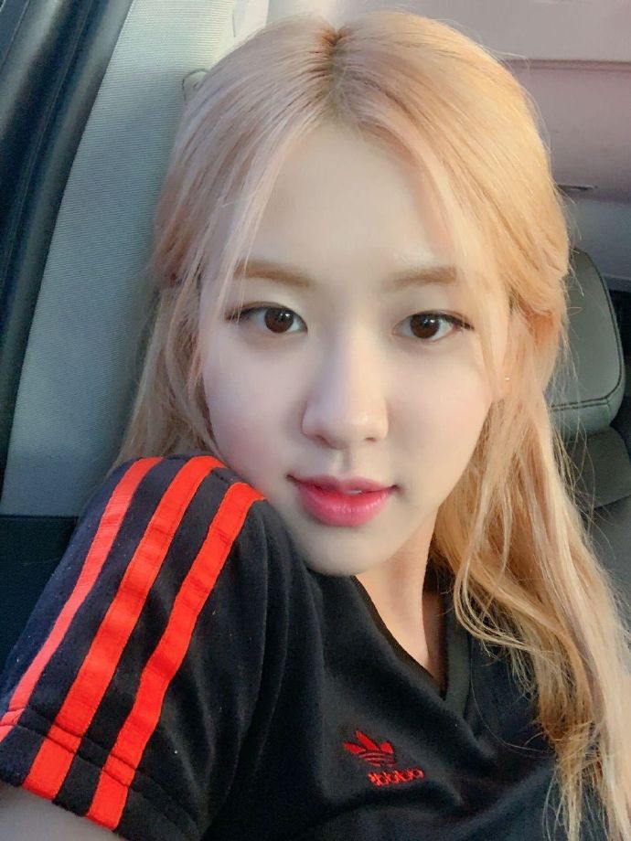 ch 更新@roses_are_rosie留言rose朴彩英_blackpink视频rose朴彩英