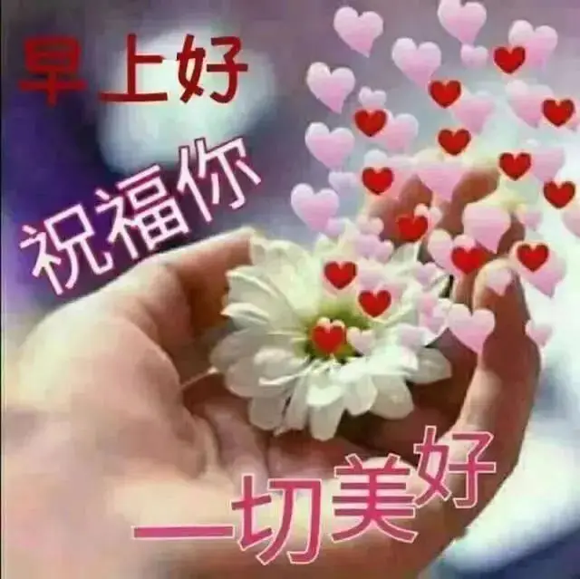 特漂亮的微信早晨好问候图片表情 最新群发漂亮早晨好问候语动_祝福