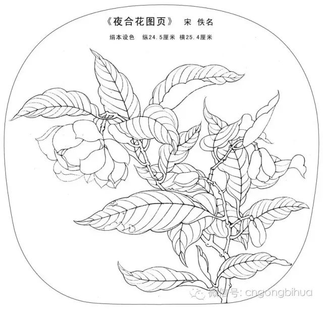 书画鉴赏丨宋画经典花鸟小品白描图稿