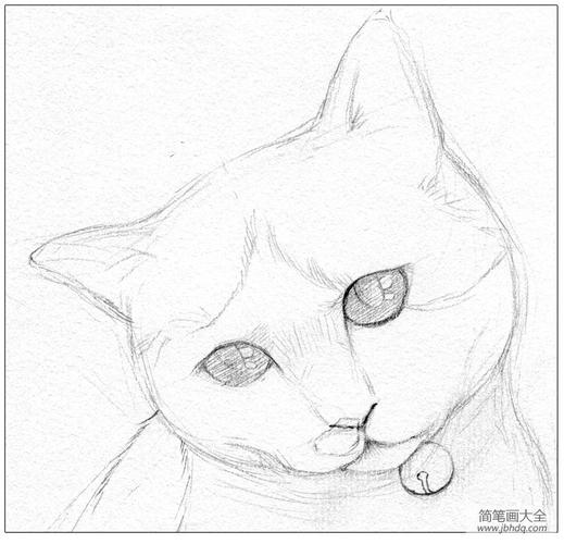 猫咪素描步骤详解简笔画教案-简笔画大全素描小猫咪怎么画简单好看
