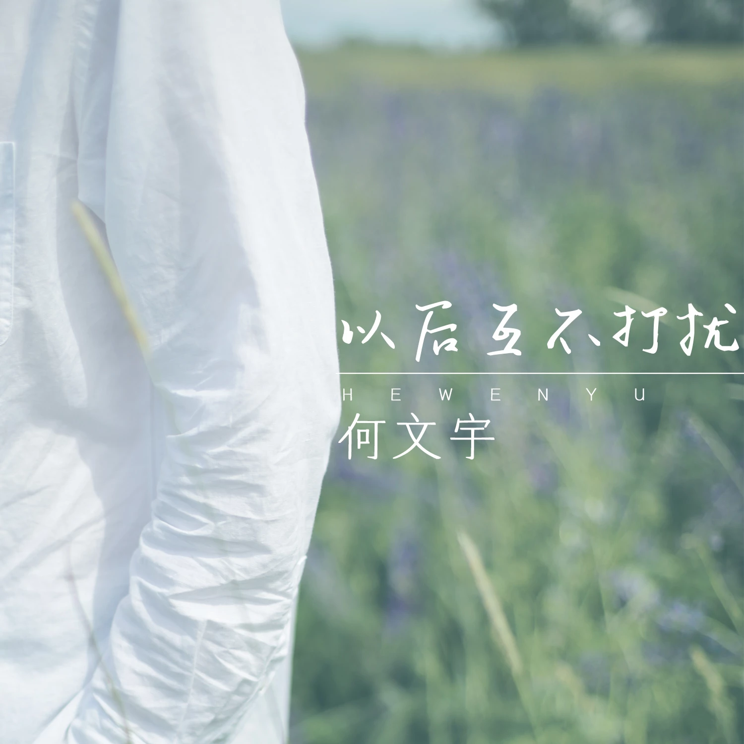 何文宇以后互不打扰dj武圣雄版