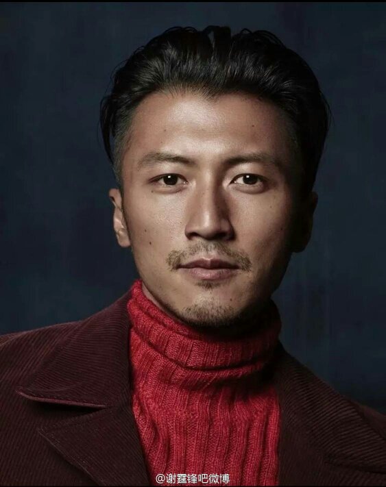 谢霆锋这发型叫什么