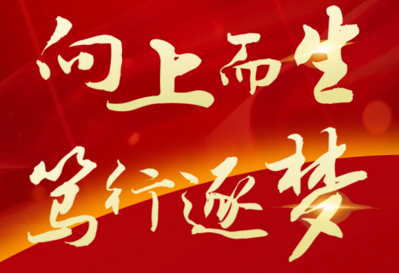 向上而生,笃行逐梦