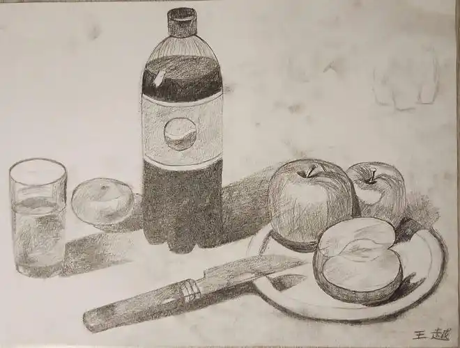 王昊《静物素描》