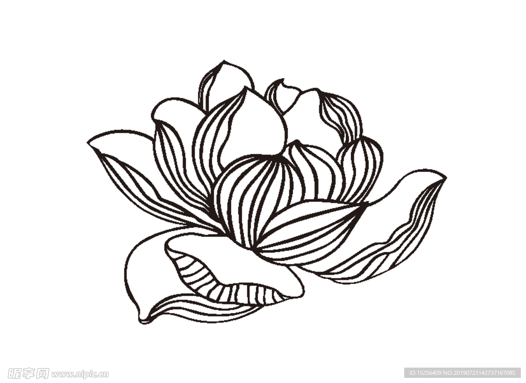 键 词:莲花矢量 线条 花边 荷花矢量 线条花  设计