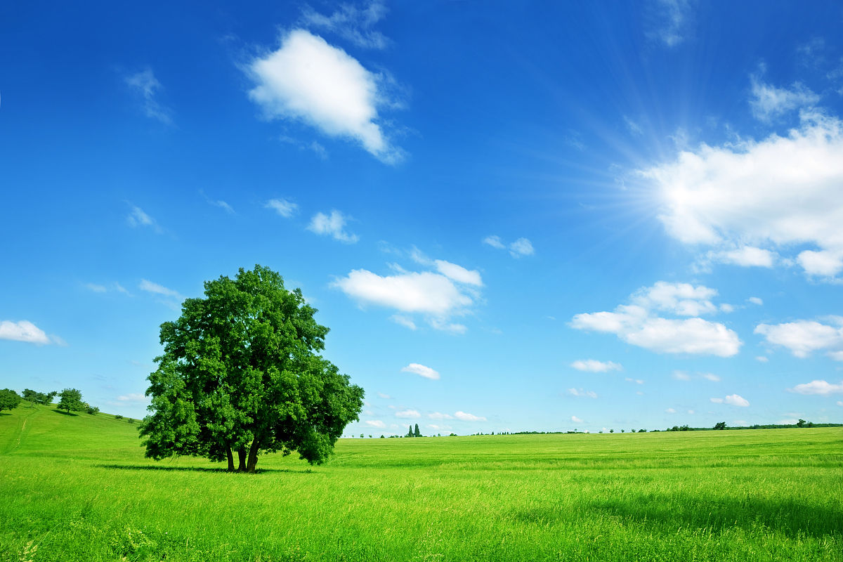 哪种气候最适合人类居住呢?