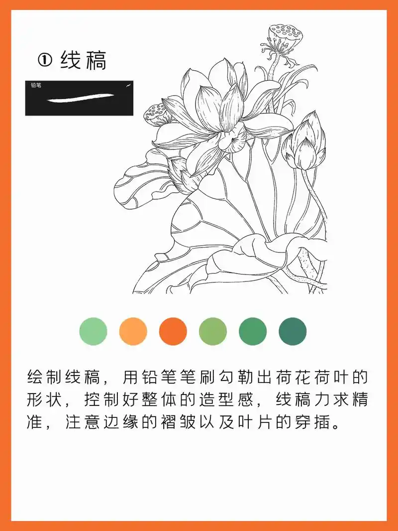 国风插画荷花画法.#插画 #procreate绘画 #板绘  - 抖音