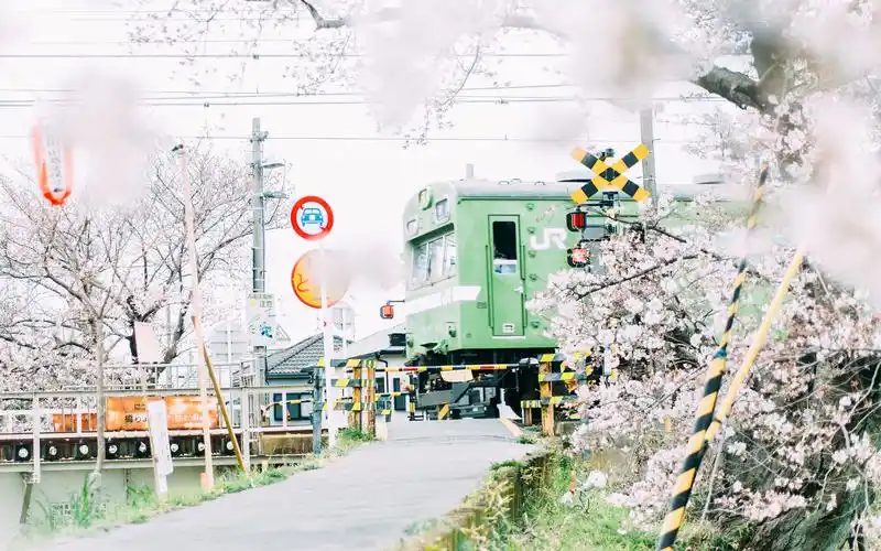 浪漫樱花唯美高清桌面壁纸