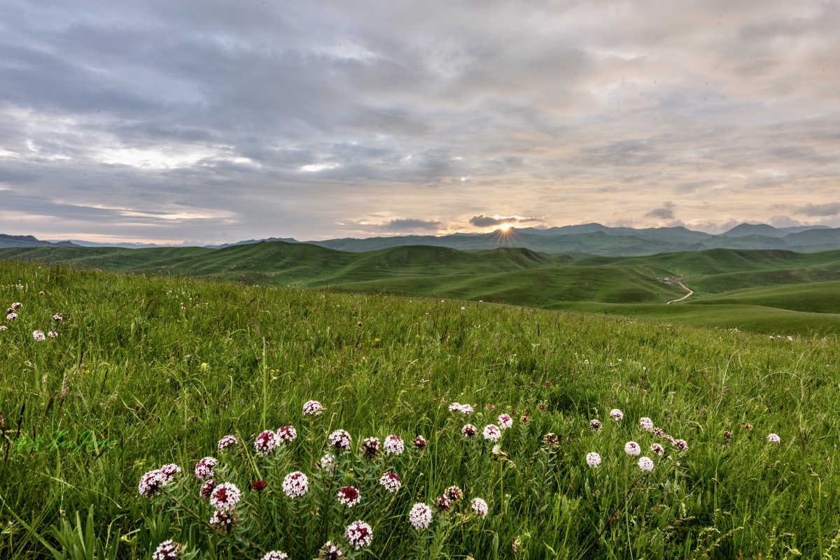 守望草原日出摄于甘南桑科草原