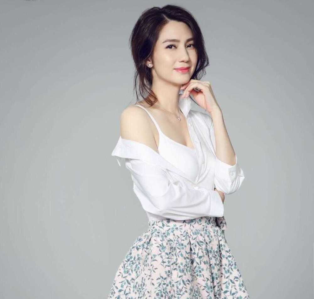 洪欣个人资料和简历,洪欣演过的角色