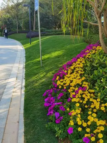 深圳市光明区凤举公园(杭州园林)绿化冬季养护效果美篇