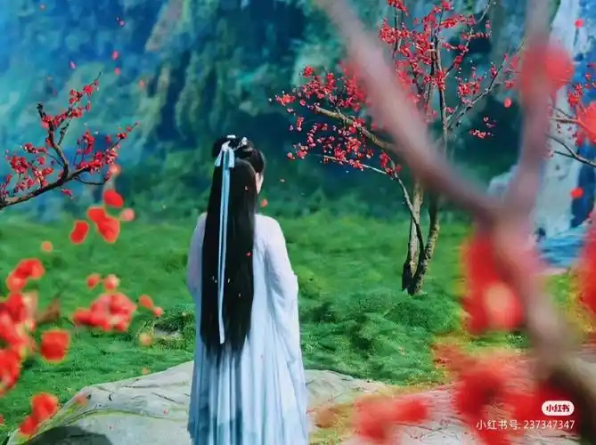 杨紫沉香如屑沉香重华背影杀