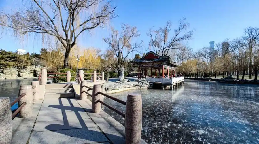 冬日的日坛公园是一道浪漫的风景线_北京日报app新闻