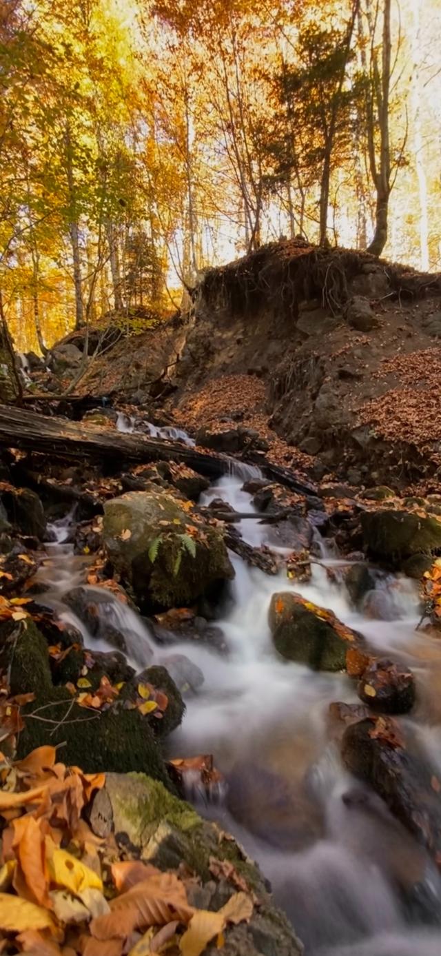 风景壁纸,一幅幅让人陶醉的美丽风景,令人心旷神怡